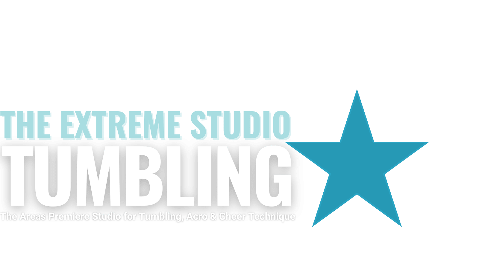 Tumbling Girl and coach with blue ribbon
15306 Briar Rd
Basehor. KS 66007